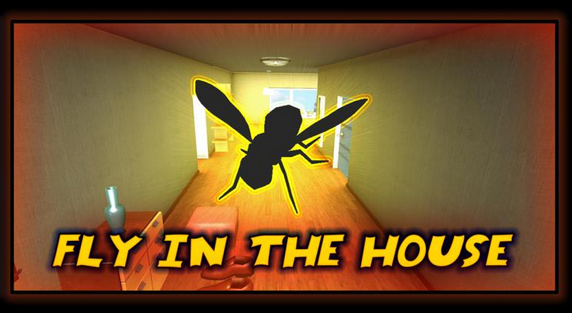 flyinthehouse_cover1