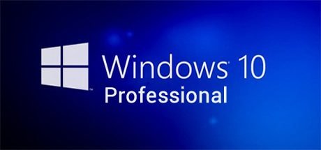 windows-10-professional-ana.jpg